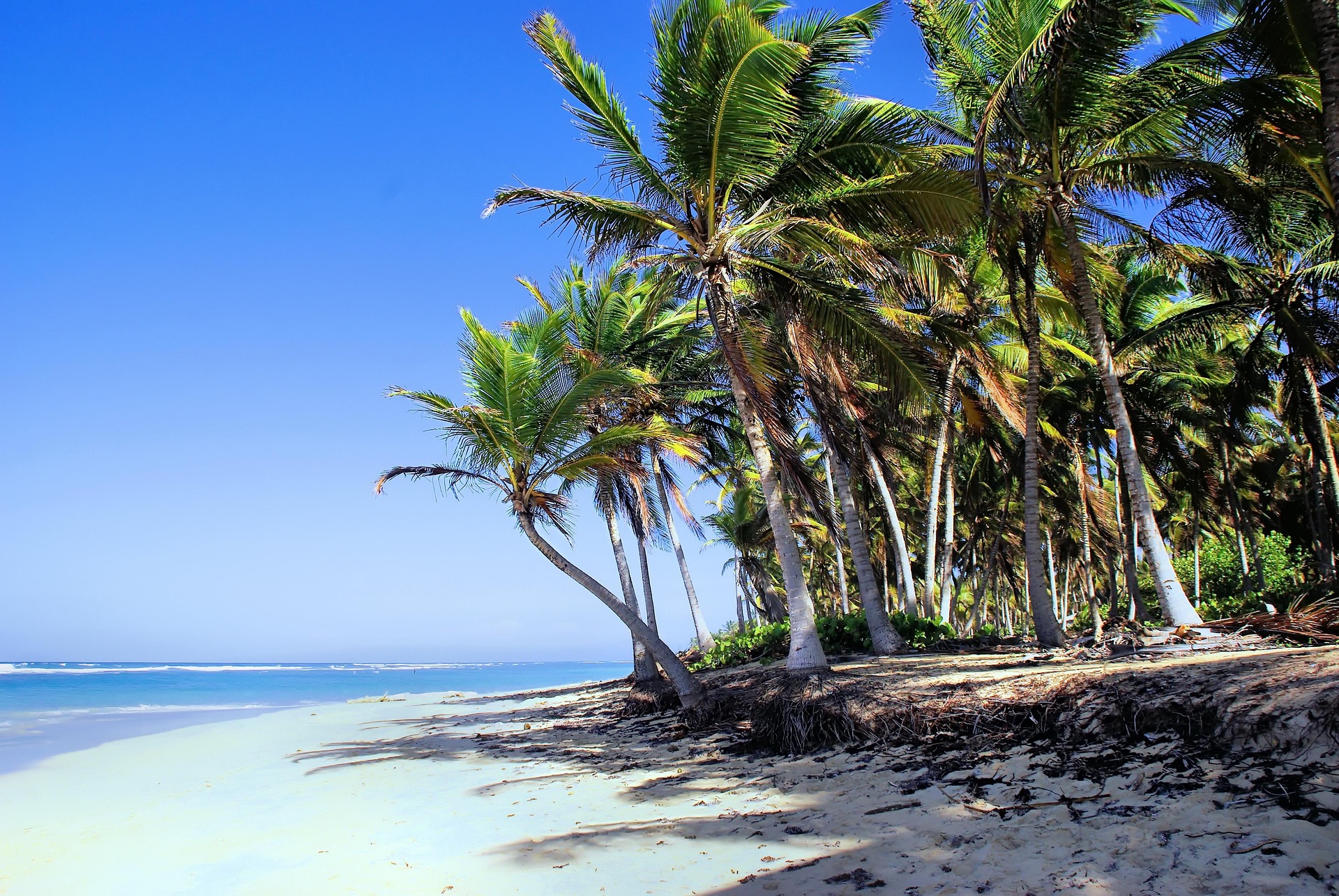 Dominican Republic