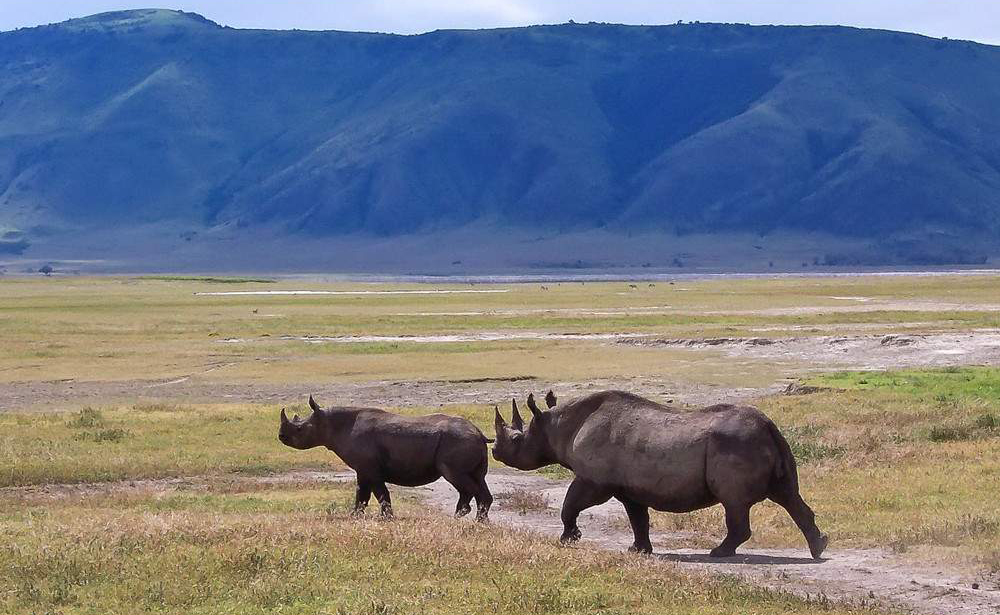 Serengeti National Park to Ngorongoro Crater