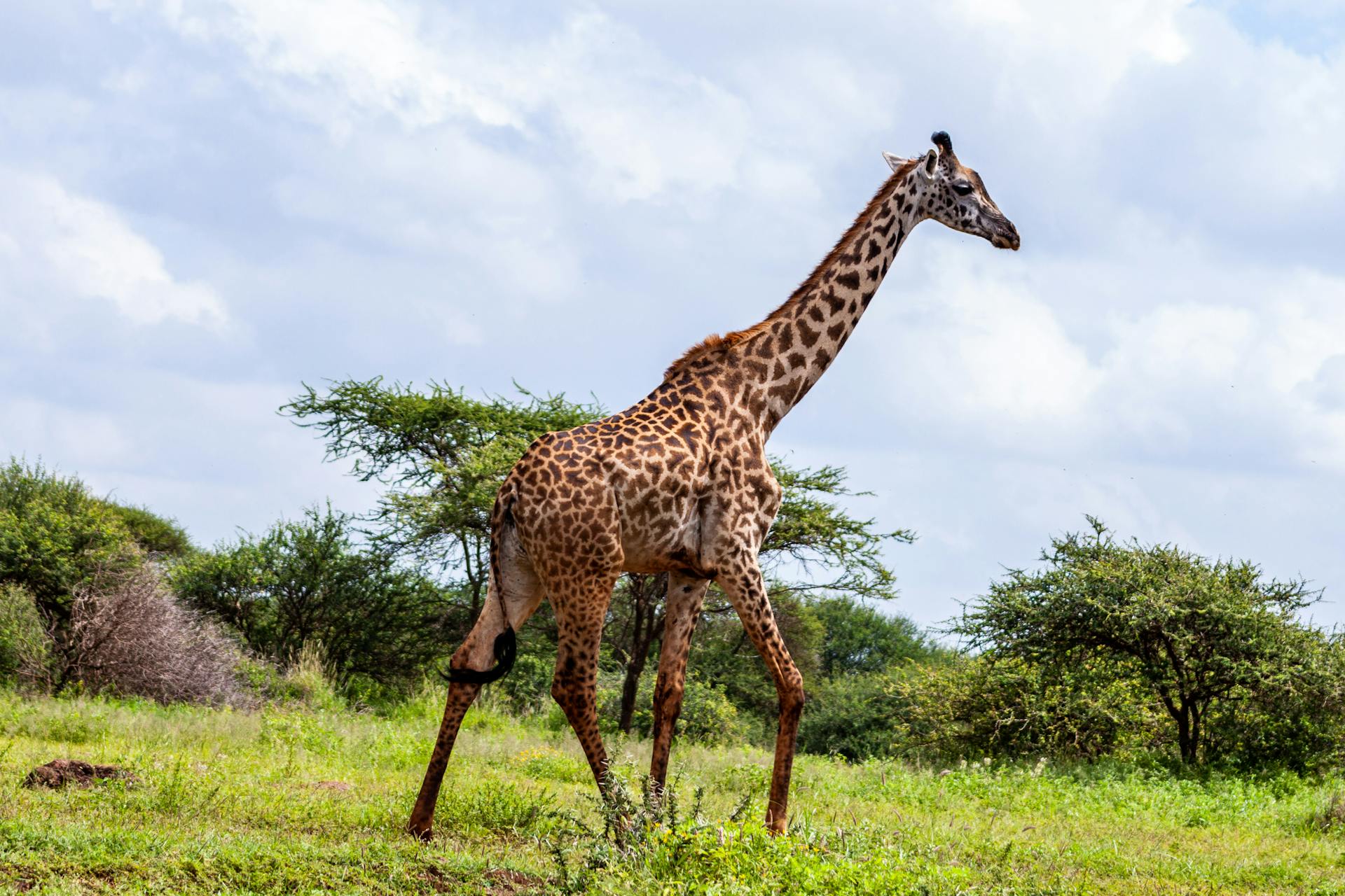 Aberdare to Samburu National Reserve